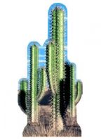Cut-out van een cactus
