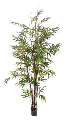 Tropische bamboe boom 190 cm