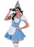 Blauw geblokte Oktoberfest jurk voor dames