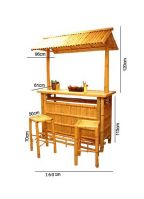 Hawaii bar met 2 barkrukken