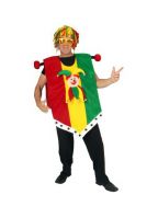 Limburgs Carnaval kostuum