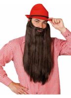 Bruine baard met stijl haar