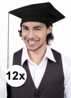 Geslaagd/ afstudeer hoedjes zwart 12x