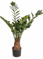 Zamioculcas kunstplant 100 cm