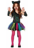 Gekleurd katten pakje voor meisjes